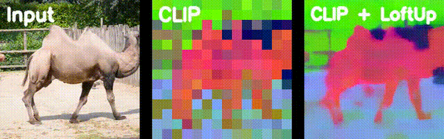 GIF 4