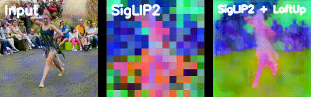 GIF 5