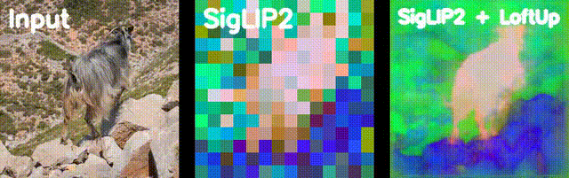 GIF 6